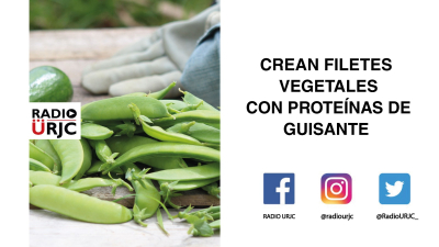 CREAN FILETES VEGETALES CON PROTEÍNAS DE GUISANTE